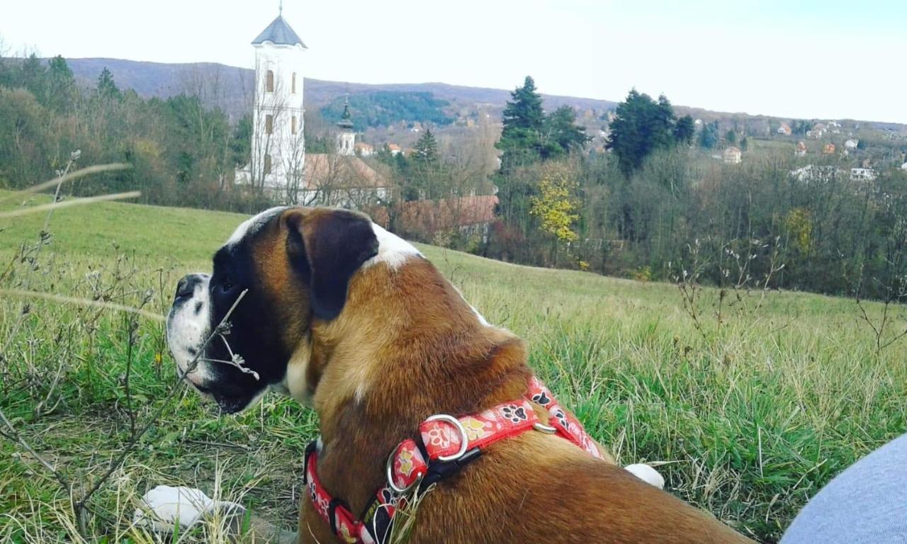Apartmani La Grande Motte ヴルドニーク エクステリア 写真